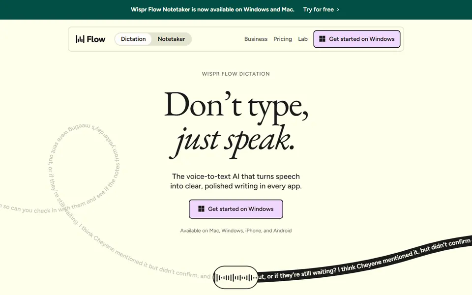 Wispr Flow homepage (screenshot)
